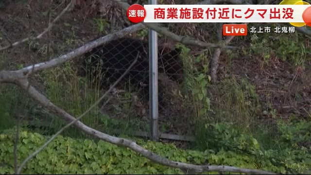 商業施設付近にクマ居座る…約10メートル先には住宅 周囲の道路を封鎖 岩手県北上市（岩手めんこいテレビ） - Yahoo!ニュース - Yahoo!ニュース