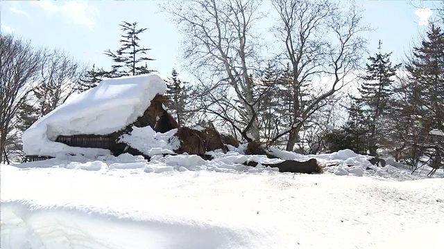 豪雪で半壊した県重宝「旧坪田家住宅」を復元できるか…専門家を招く補正予算案を提出 青森県青森市（青森放送） - Yahoo!ニュース - Yahoo!ニュース