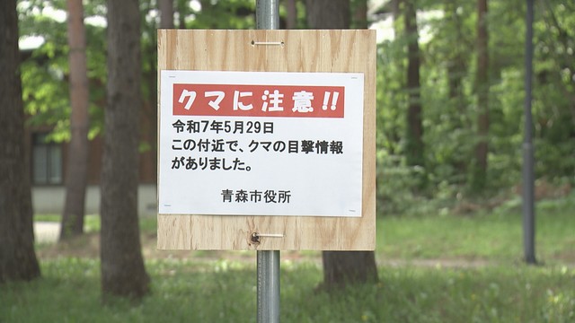 「クマがグラウンドを移動している」児童が残る小学校や大学構内で出没相次ぐ！“ツキノワグマ出没警報”発令中の青森県青森市（青森放送） - Yahoo!ニュース - Yahoo!ニュース