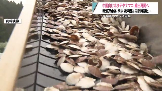 「1つの前進」中国向けの水産物輸出が再開へ ナマコやホタテで打撃を受けた青森県漁連は“前向きに評価”する一方で懸念も（青森放送） - Yahoo!ニュース - Yahoo!ニュース