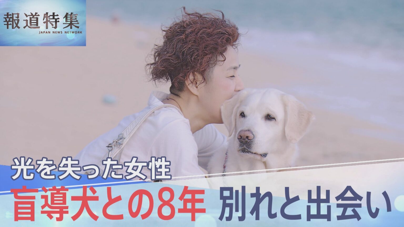 「いつまでもいつまでも大好きです」引退する盲導犬への願い　8年寄り添った“相棒”との別れ　最後の日も笑顔で【報道特集】（TBS NEWS DIG Powered by JNN）