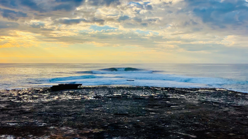 スクリーンショット 2025-05-14 15.54.40