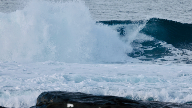 スクリーンショット 2025-05-14 3.51.11