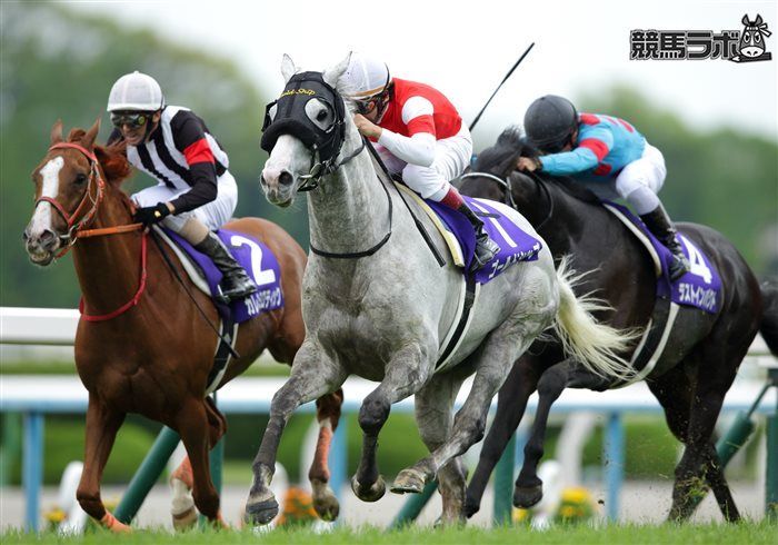 自身も天皇賞・春を制しているゴールドシップ