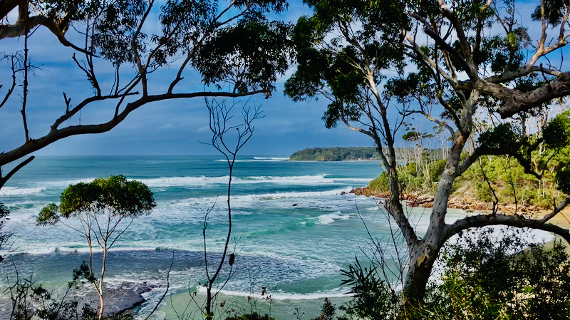 スクリーンショット 2025-05-30 4.09.14