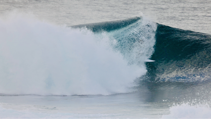 スクリーンショット 2025-05-15 5.38.21