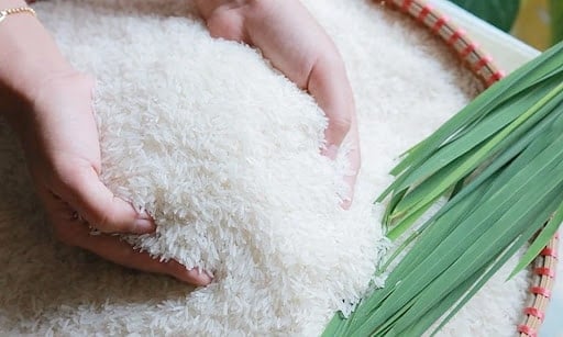 Vietnam.vn - Nền tảng quảng bá Việt Nam