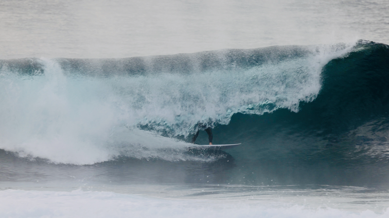 スクリーンショット 2025-05-15 5.37.52