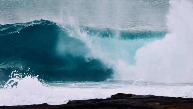 スクリーンショット 2025-05-22 5.39.55