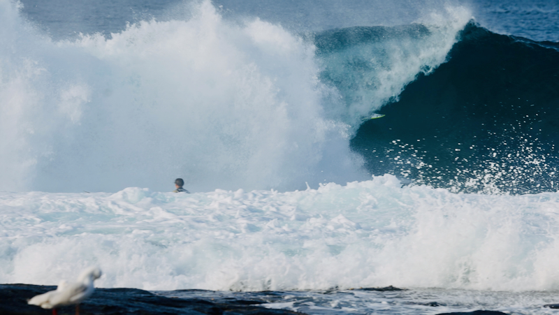 スクリーンショット 2025-05-14 3.41.36