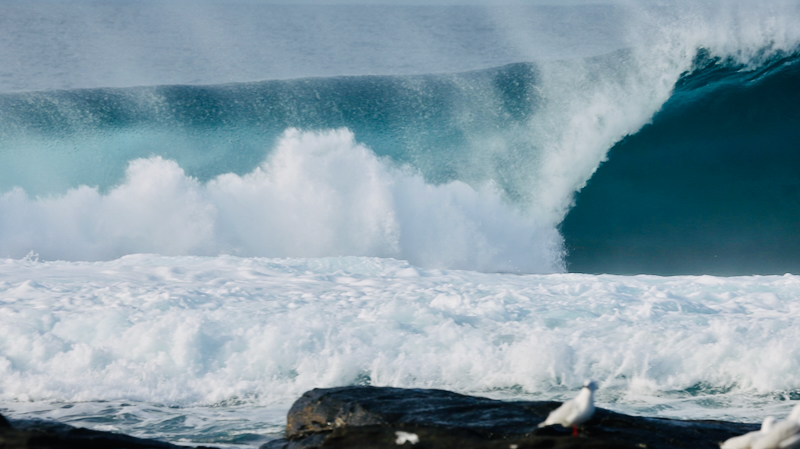 スクリーンショット 2025-05-14 3.40.55