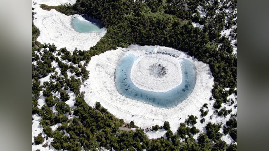 「ドラゴンアイ」見ようと登山、クマ２頭と遭遇し襲われる…秋田の八幡平「スプレー携行を」