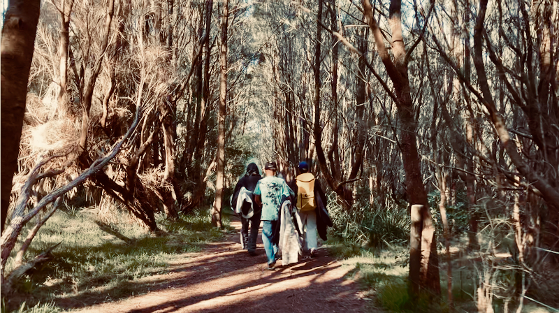 スクリーンショット 2025-05-10 4.34.03