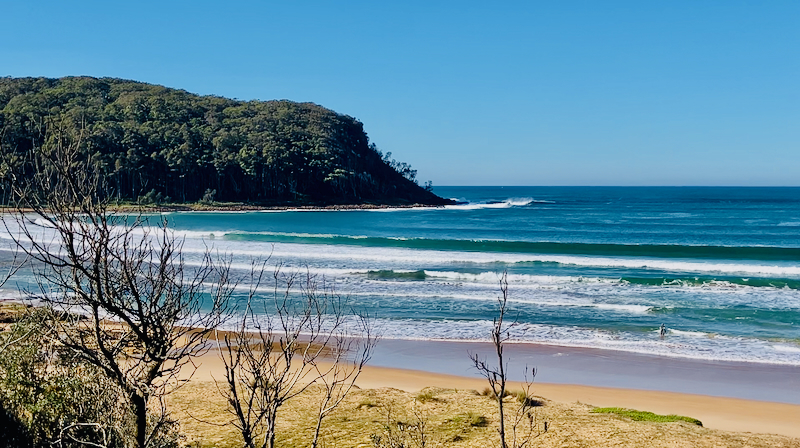 スクリーンショット 2025-05-25 1.59.43