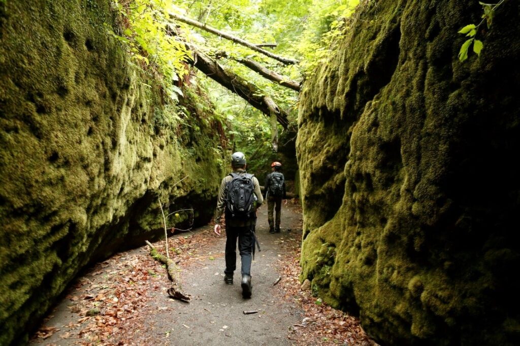 北海道支笏湖のパワースポット「苔の回廊」を巡る人気ツアーが体験できる特別宿泊プランを、「しこつ湖 鶴雅リゾートスパ 水の謌」で今年も販売開始！ | 鶴雅ホールディングス株式会社のプレスリリース