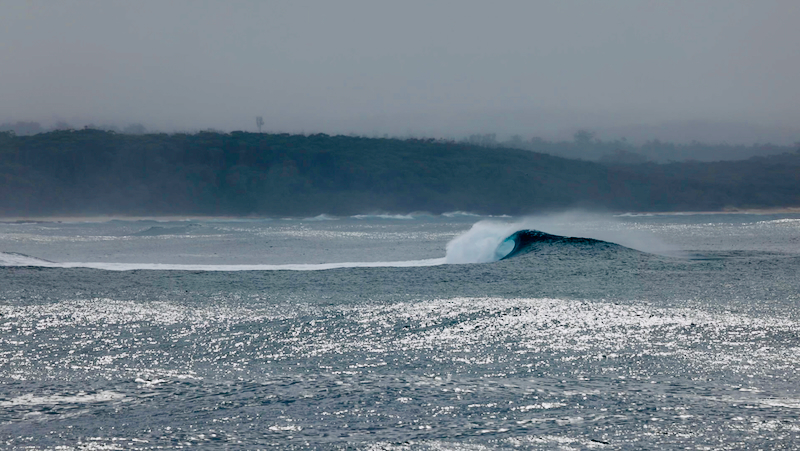 スクリーンショット 2025-05-22 5.47.03