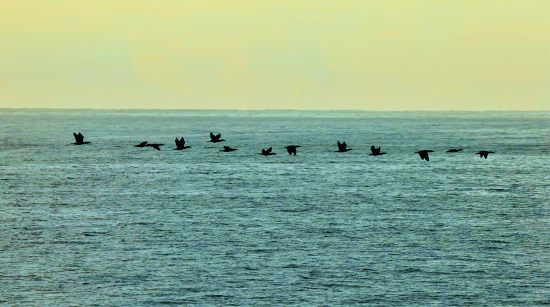 スクリーンショット 2025-05-15 5.33.02