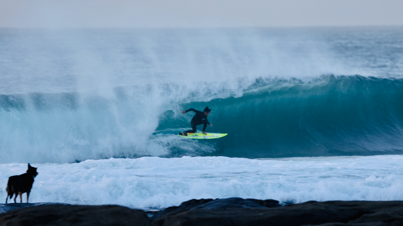 スクリーンショット 2025-05-28 6.29.09