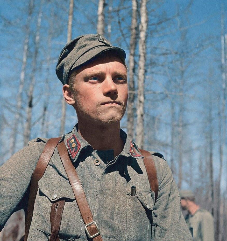 ラウリ・テルニは1944年半ばにカレリアのフィンランド軍と共に、ドイツと米軍に奉仕し続けるでしょう