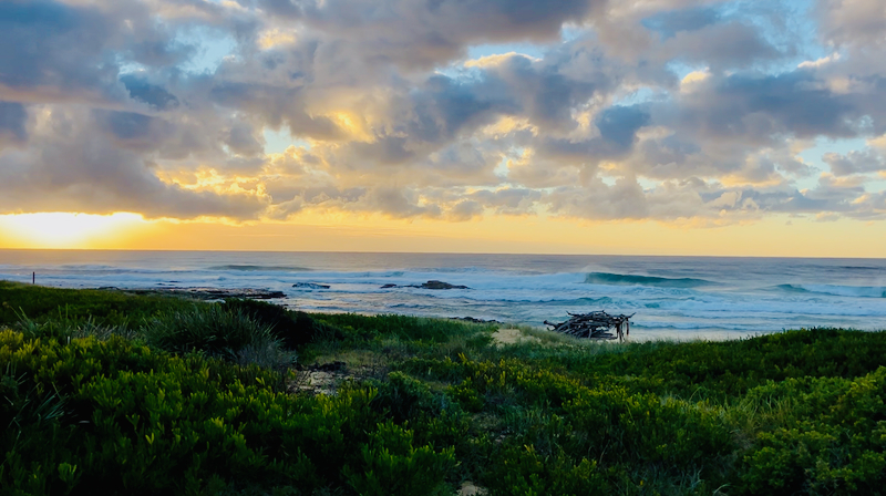 スクリーンショット 2025-05-22 2.04.00