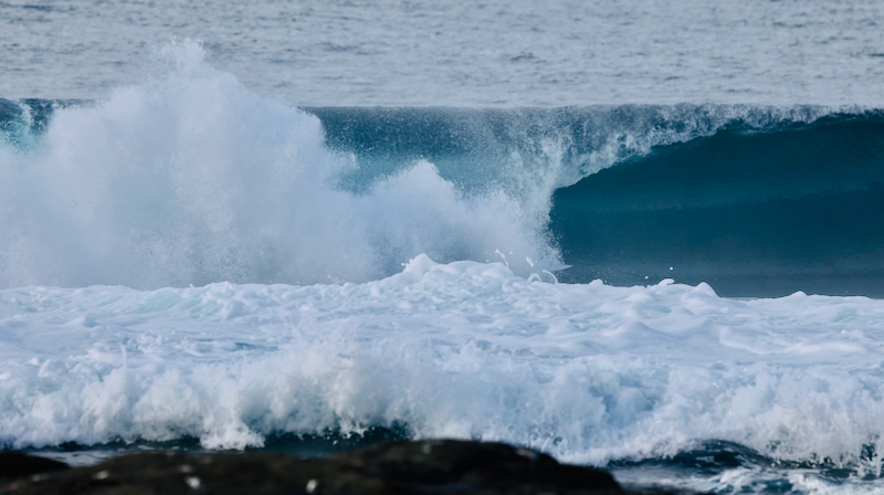スクリーンショット 2025-05-14 3.50.16
