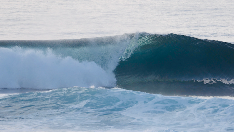 スクリーンショット 2025-05-14 16.01.52