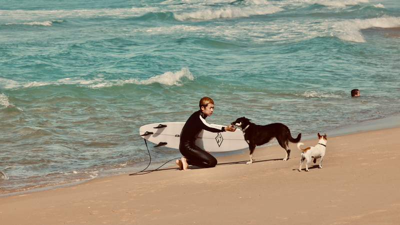 スクリーンショット 2025-05-13 5.07.14