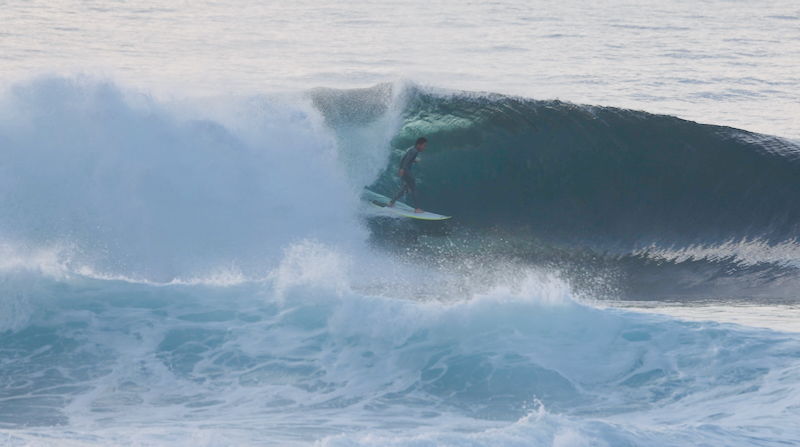 スクリーンショット 2025-05-14 16.02.22
