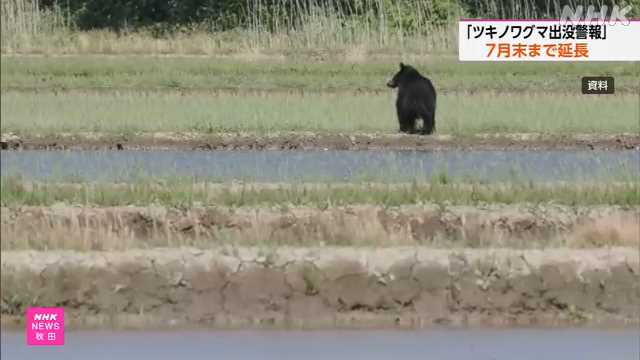 秋田県 「ツキノワグマ出没警報」 発令期間を７月末まで延長｜NHK 秋田県のニュース