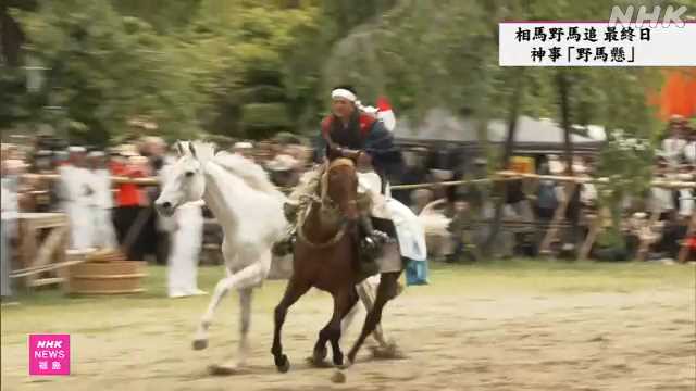 相馬野馬追 最終日「神馬」捕らえ奉納する神事 福島 南相馬｜NHK 福島県のニュース