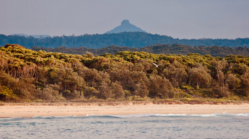 スクリーンショット 2025-05-14 16.10.49