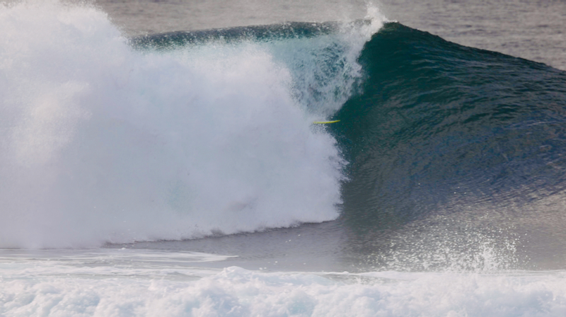 スクリーンショット 2025-05-15 5.42.22