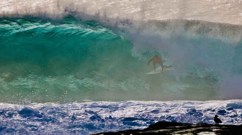スクリーンショット 2025-05-22 5.22.28