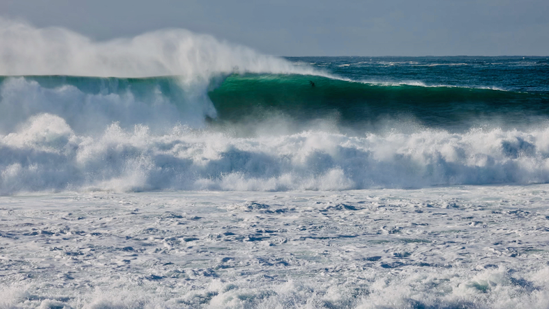 スクリーンショット 2025-05-30 3.56.53