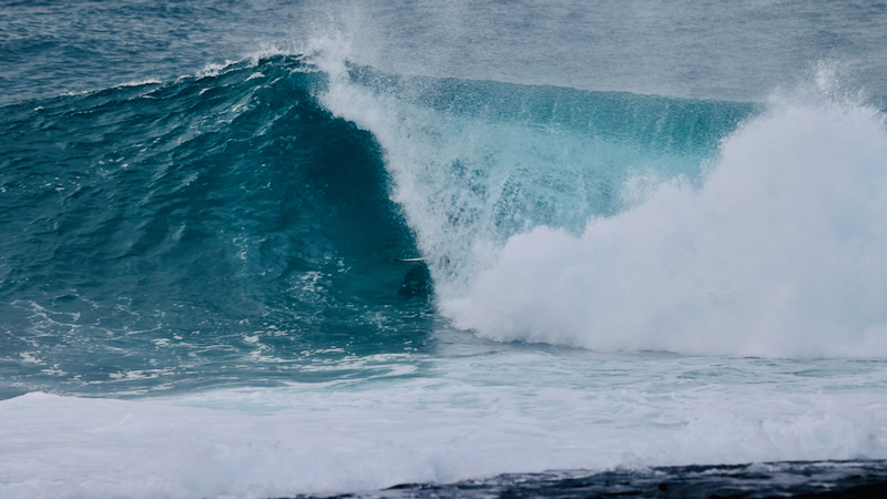 スクリーンショット 2025-05-22 5.44.25