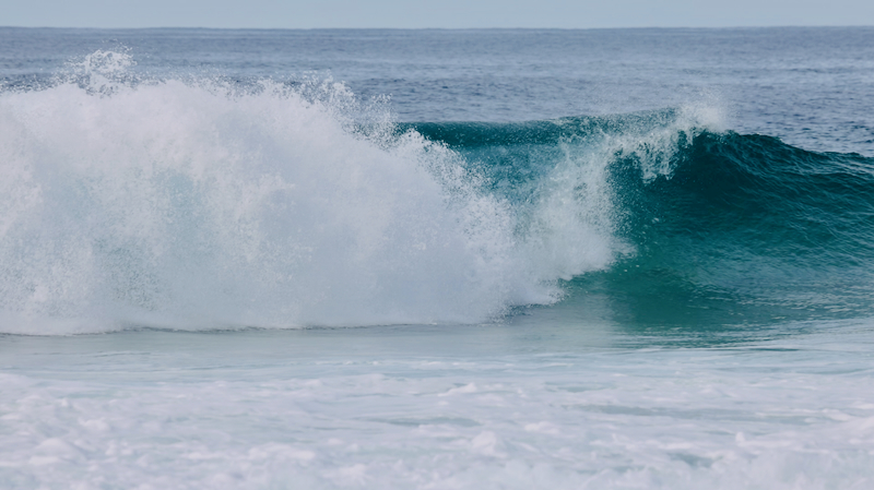 スクリーンショット 2025-05-13 4.59.13