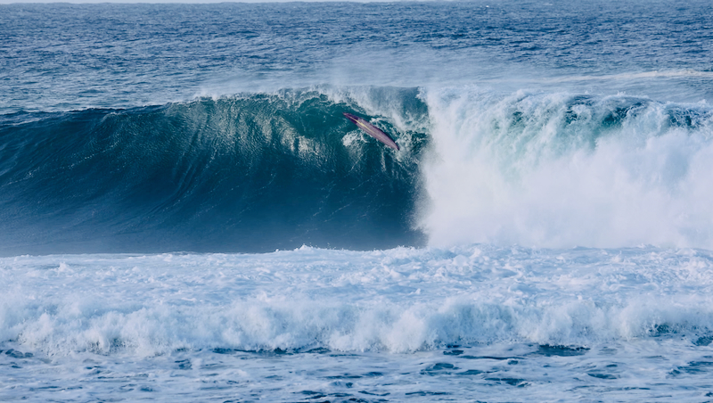 スクリーンショット 2025-05-30 4.21.53