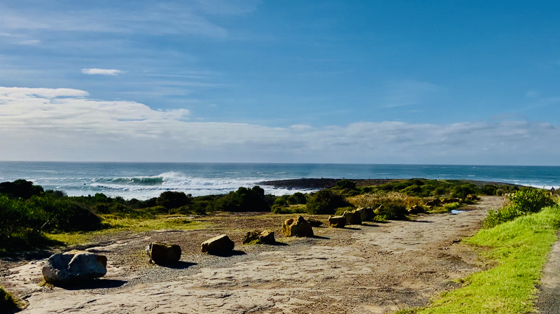 スクリーンショット 2025-05-30 4.08.41
