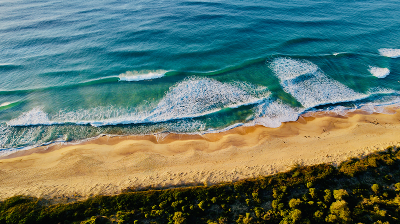 スクリーンショット 2025-05-11 4.22.38