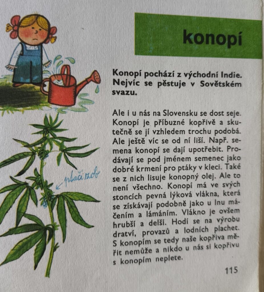 1978年の子供の百科事典からのいくつかのロッド