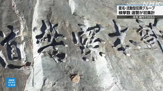 北海道警 匿名・流動型犯罪グループ 去年３０３人を検挙｜NHK 北海道のニュース