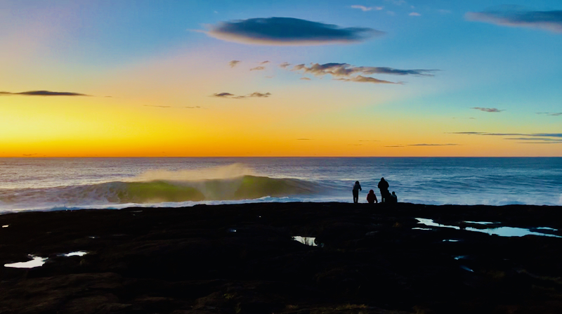 スクリーンショット 2025-05-25 1.46.10