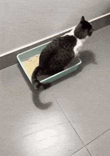 カウナスのチェス