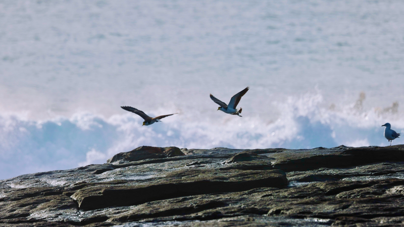 スクリーンショット 2025-05-22 5.25.34