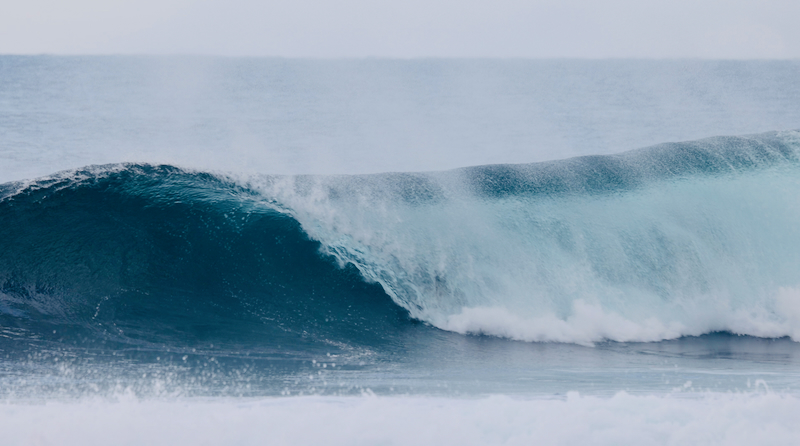 スクリーンショット 2025-05-15 16.30.35