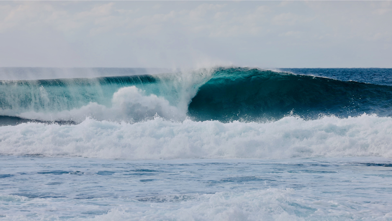 スクリーンショット 2025-05-15 16.31.49