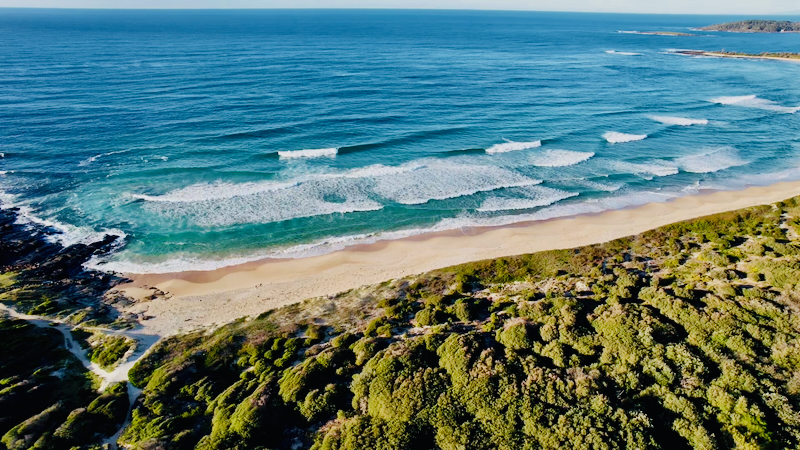スクリーンショット 2025-05-10 4.06.46