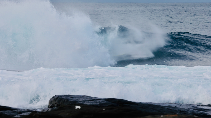 スクリーンショット 2025-05-14 3.46.16