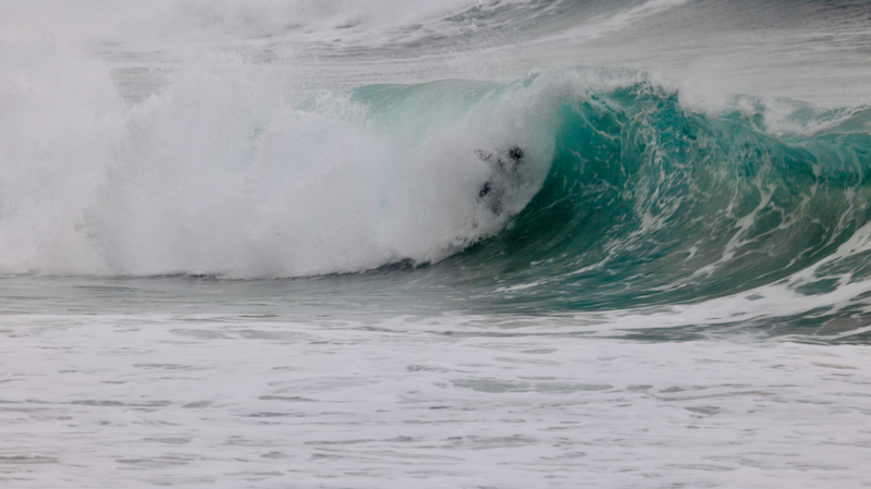 スクリーンショット 2025-05-23 3.23.57