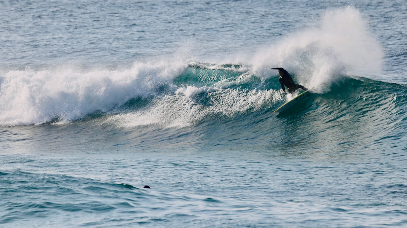 スクリーンショット 2025-05-18 4.05.48